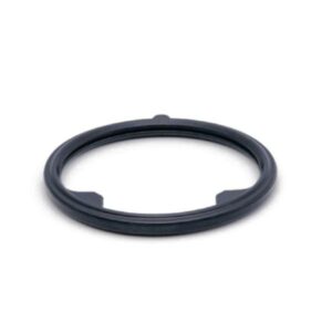 Honda OEM F20C Thermostat Seal