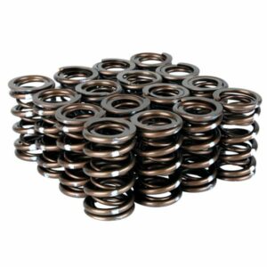 Skunk2 - Pro XP Valve Spring Set