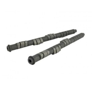 Skunk2 - Pro Camshaft - H VTEC