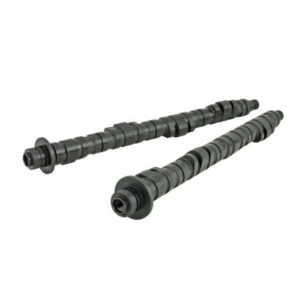 Skunk2 - Pro Stage 2+ Camshaft - F20C/F22C1 VTEC - S2000