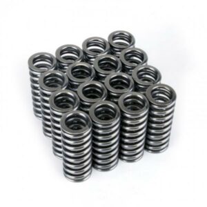 Skunk2 - Alpha Valve Spring Set