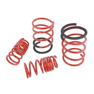Skunk2 - Lowering Springs